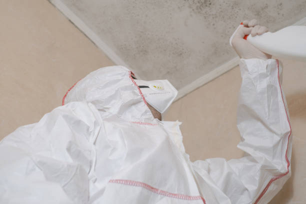Best Water Damage Restoration  in Argyle, TX